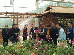 QQ图片20181024222024