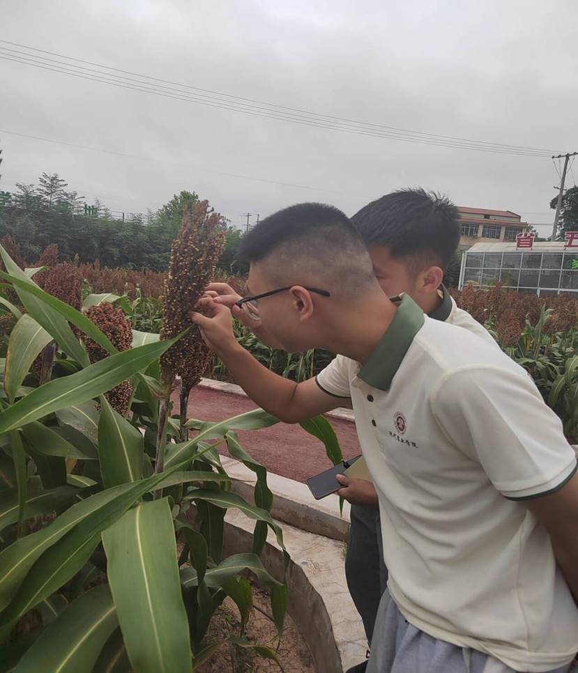 }DA2$00CCZDLRP8)29}8I_V_tmb