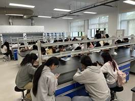 c2abc9c80b7ee77eaf8792d5d4a79ddc